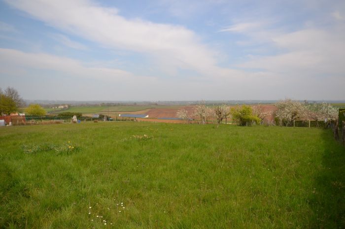 TERRAIN à vendre CHANTONNAY 