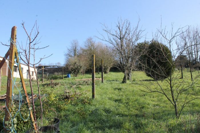 Maison de bourg rnove à vendre POUZAUGES au prix de 90950 euros