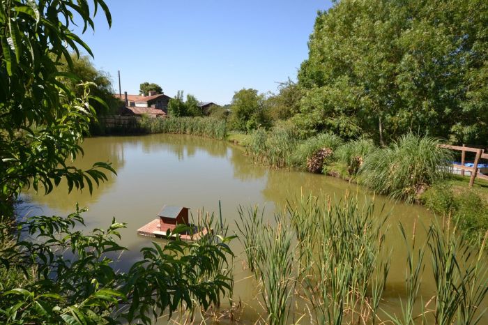 MAISON photos des pièces du bien M5800 au prix de 392700 euros