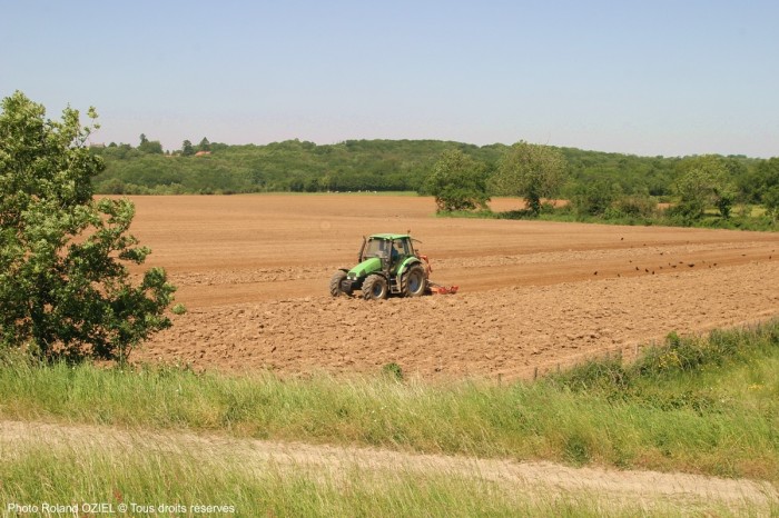 Chantonnay revendique sa ruralité