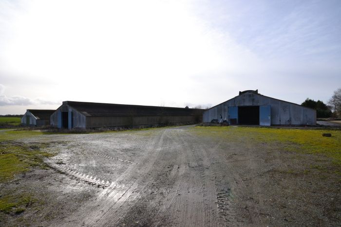 Maison plain-pied en bon tat gnral au coeur de la campagn à vendre CHANTONNAY au prix de 263750 euros