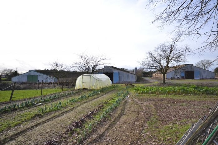 Maison plain-pied en bon tat gnral au coeur de la campagn CHANTONNAY immobilier à vendre au prix de 263750 euros