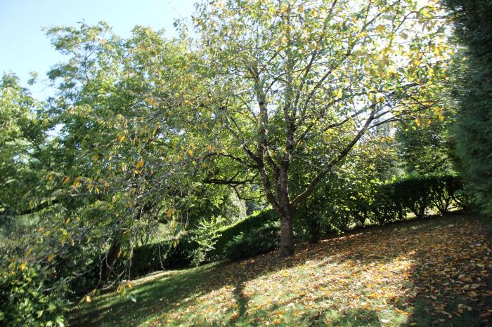 Maison de campagne CHANTONNAY immobilier à vendre au prix de 145900 euros