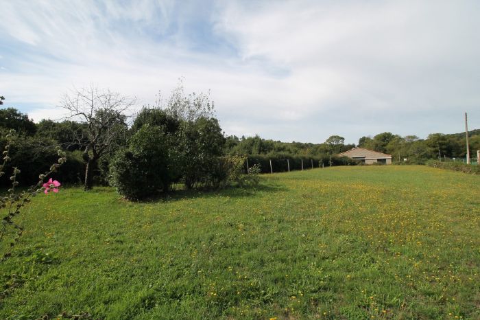 Maison de caractre indpendante STE HERMINE immobilier à vendre au prix de 167480 euros