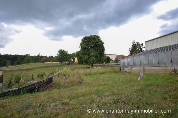 LOCAL COMMERCIAL à vendre