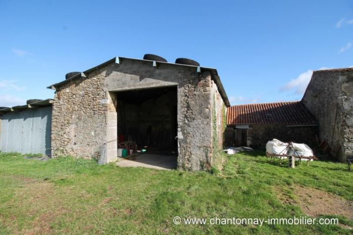 MAISON achat vente CHANTONNAY M6028