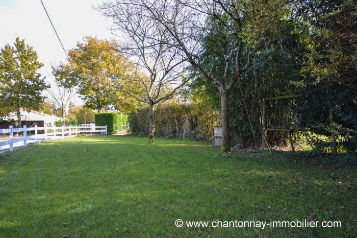 MAISON achat vente SAINTE-CCILE M6078