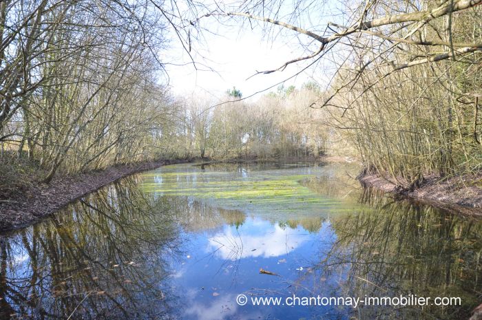 MAISON à vendre sur CHANTONNAY avec 5 pièces