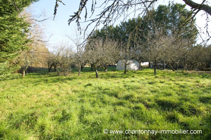 Jolie maison ancienne dans environnement calme à vendre CHANTONNAY au prix de 138450 euros