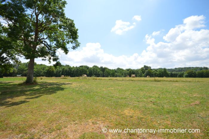 MAISON achat vente FONTENAY-LE-COMTE M6313