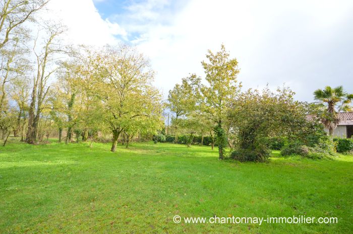CHANTONNAY - Maison en pierre  rnover  CHANTONNAY immobilier à vendre au prix de 58300 euros