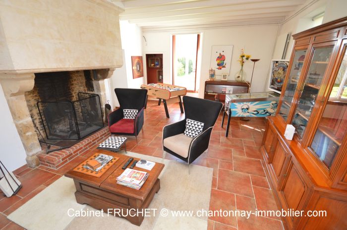 Jolie maison en pierre plein de charme à vendre CHANTONNAY au prix de 543400 euros