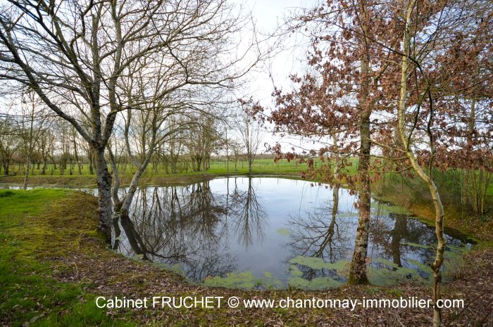 LES ESSARTS - Jolie maison de ferme avec sa grange sur 7400  ESSARTS immobilier à vendre au prix de 267750 euros