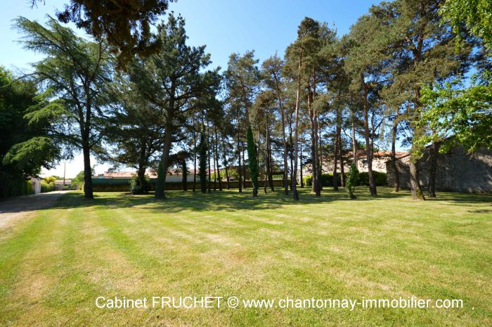 MAISON en vente sur CHANTONNAY M6645 au prix de 460000 euros