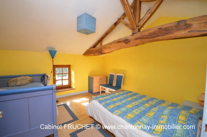 Jolie proprit dans un crin de verdure CHANTONNAY immobilier à vendre au prix de 219000 euros