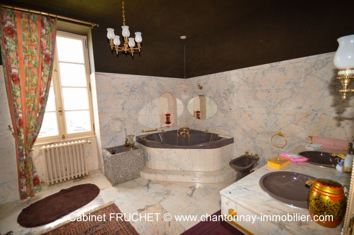 LA CHATAIGNERAIE - Centre ville - Bel ensemble immobilier à vendre LA CHâTAIGNERAIE au prix de 575000 euros