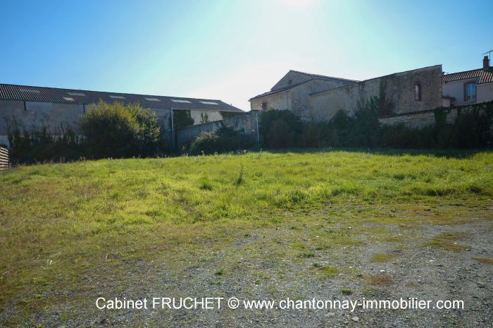 TERRAIN achat vente CHANTONNAY M6709