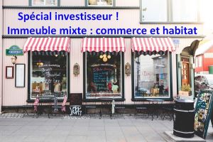 INVESTISSEMENT LOCATIF à vendre à CHANTONNAY M6230